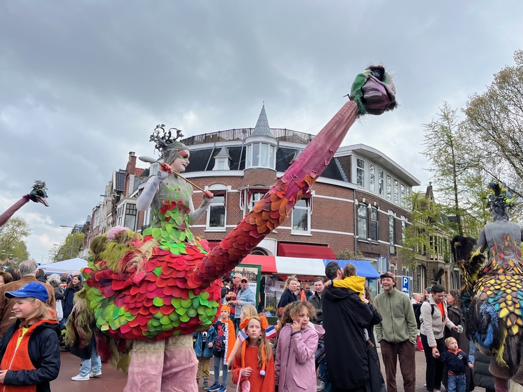 Steltlopers als reuze struisvogels. Foto Carin te Hoonte  