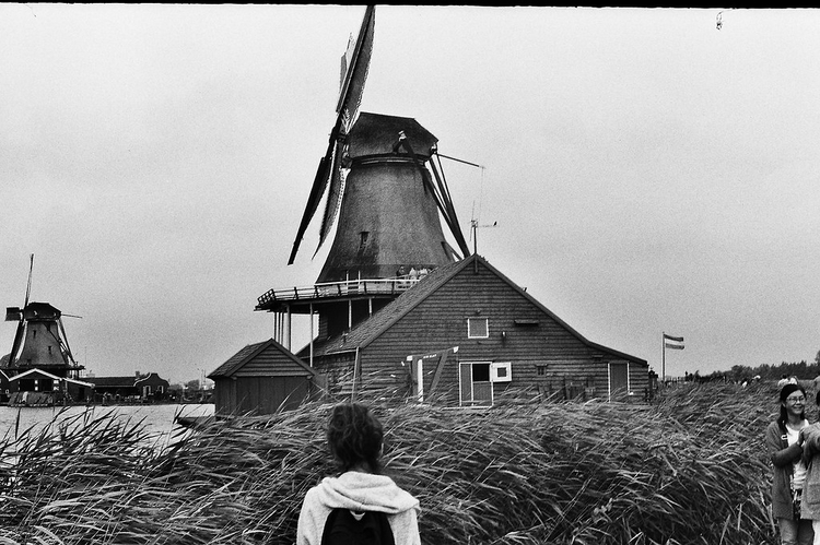 zaanse schans   lorenzo.br CC BY 2.0 .  