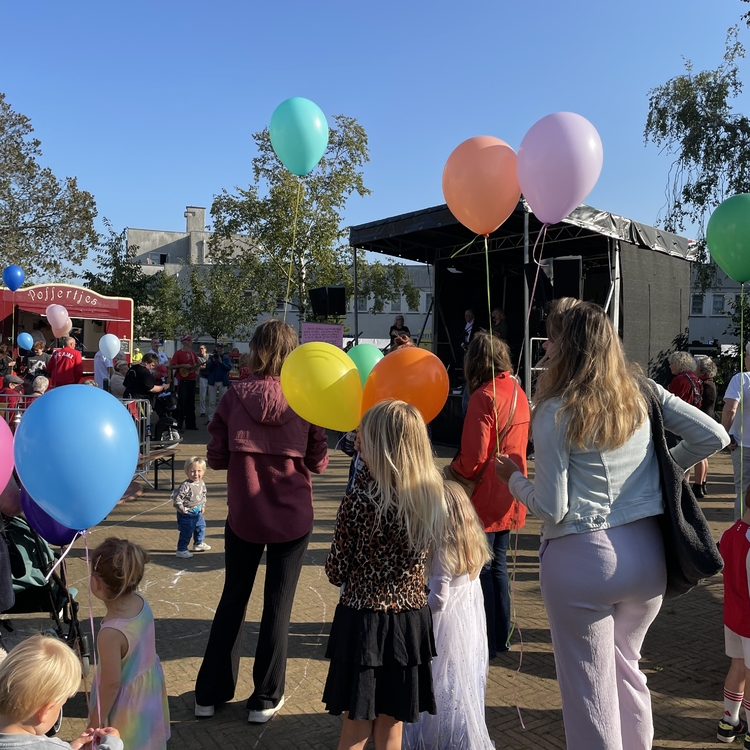 Bij een feest horen ballonnen  